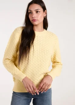 Knitwear><noscript><img width=