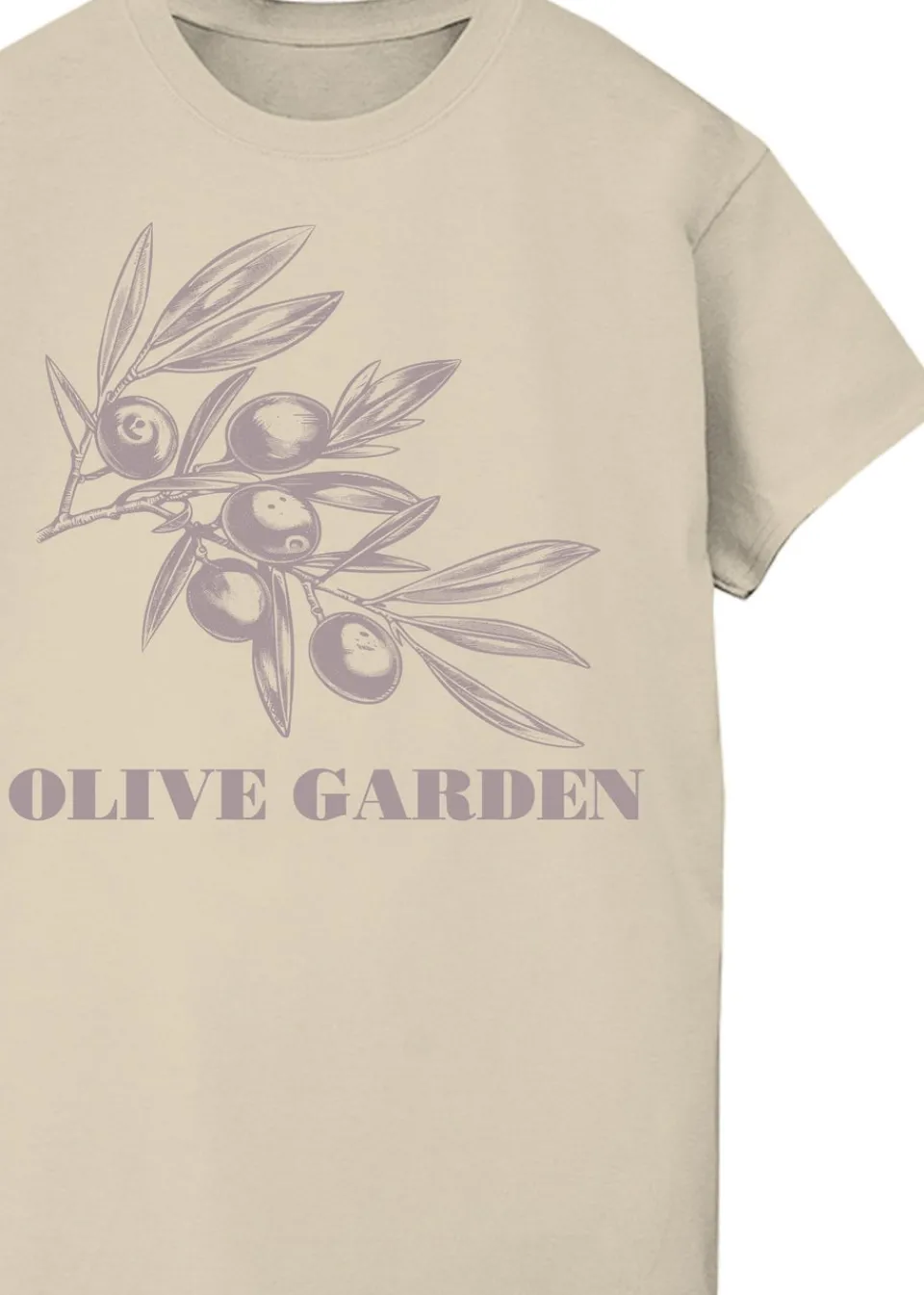 T-Shirts>Brands In Olive Garden Sand Boyfriend Fit Graphic T-Shirt