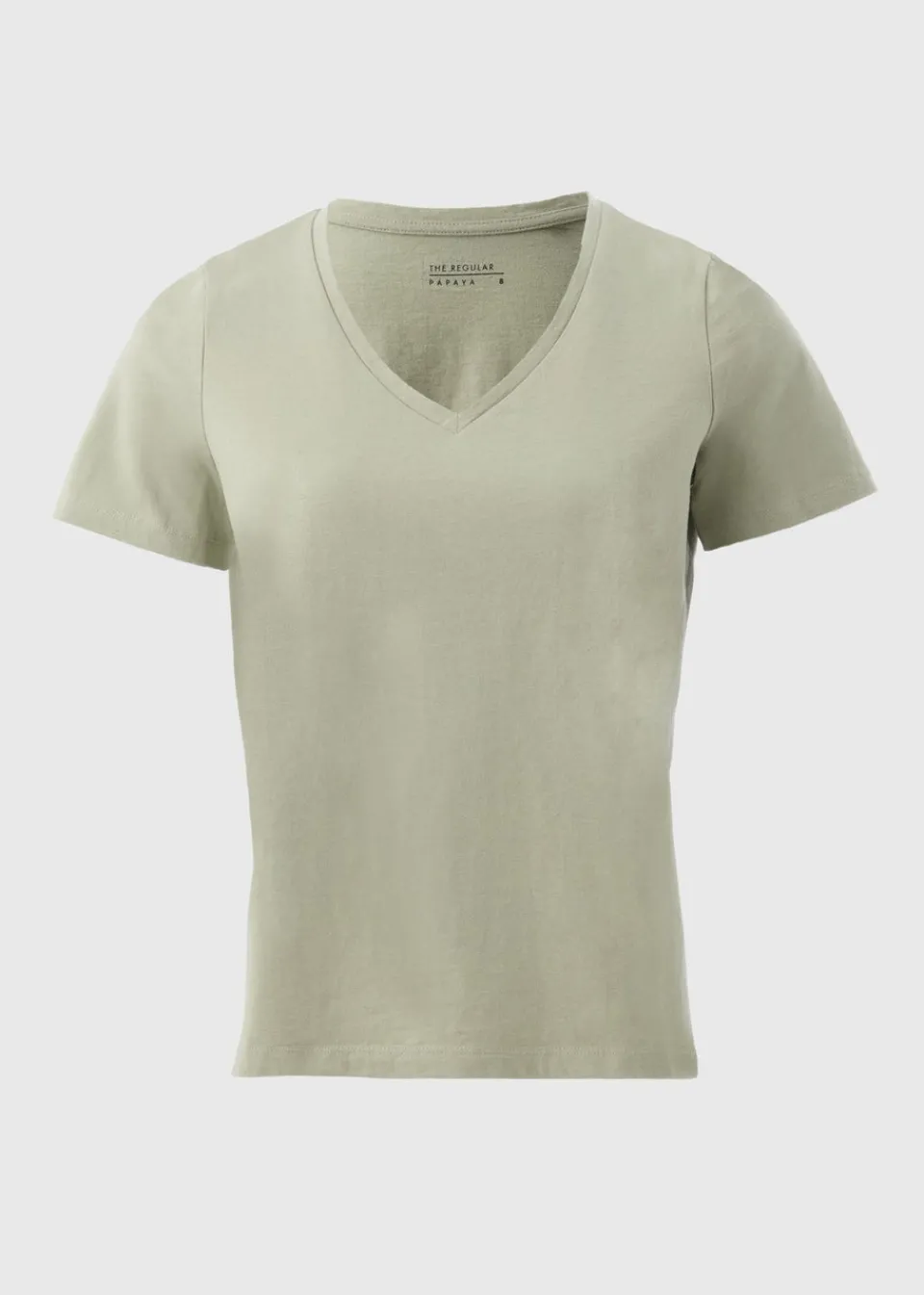 T-Shirts>Papaya Green V-Neck Regular Fit T-Shirt