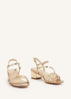 Footwear><noscript><img width=
