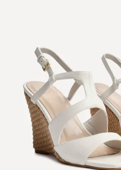 Footwear><noscript><img width=