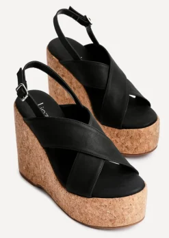 Footwear><noscript><img width=