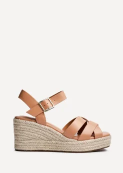 Footwear><noscript><img width=