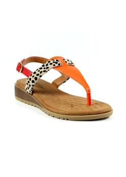 Footwear><noscript><img width=