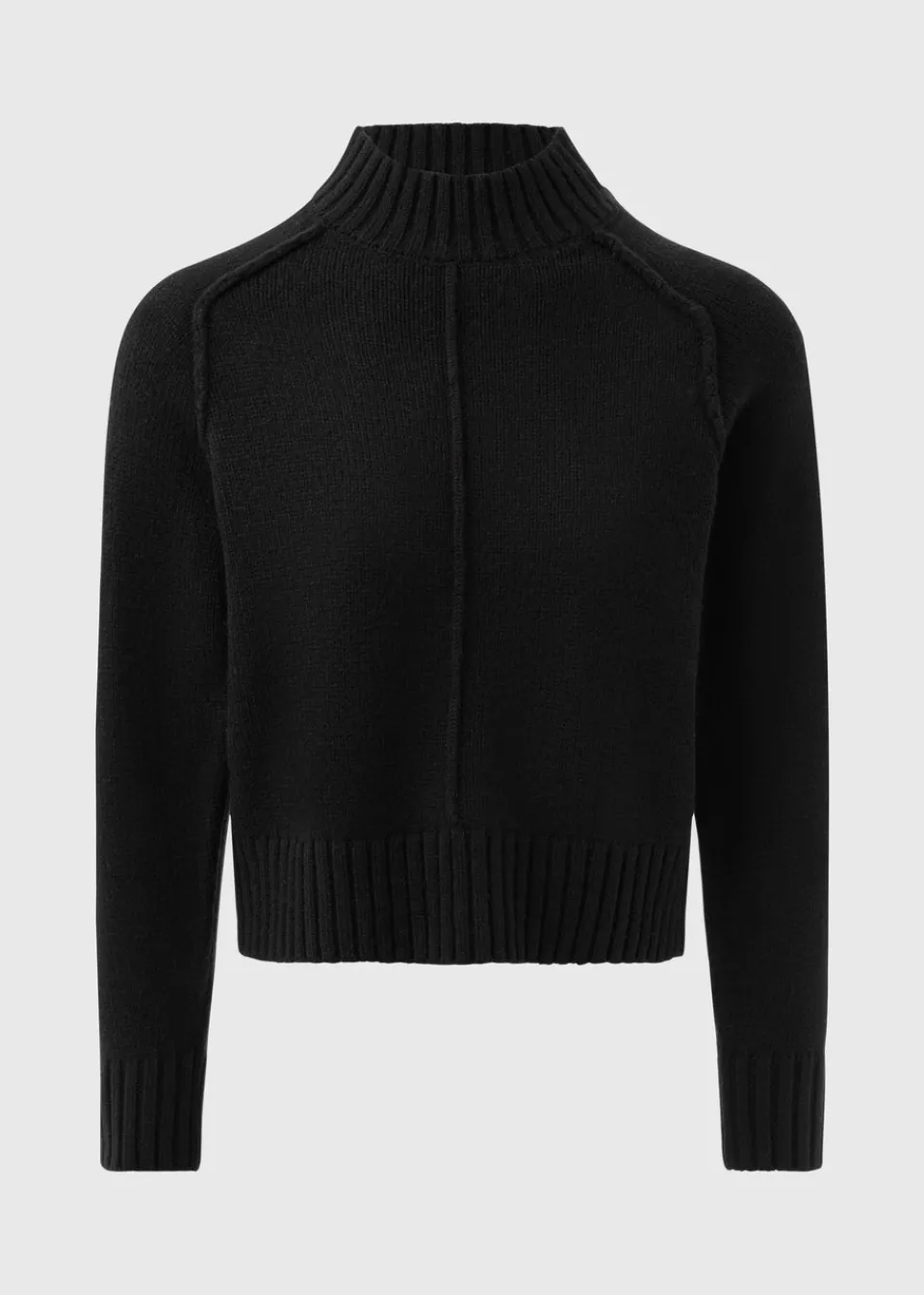 Tops>Papaya Petite Black Seam Front Jumper