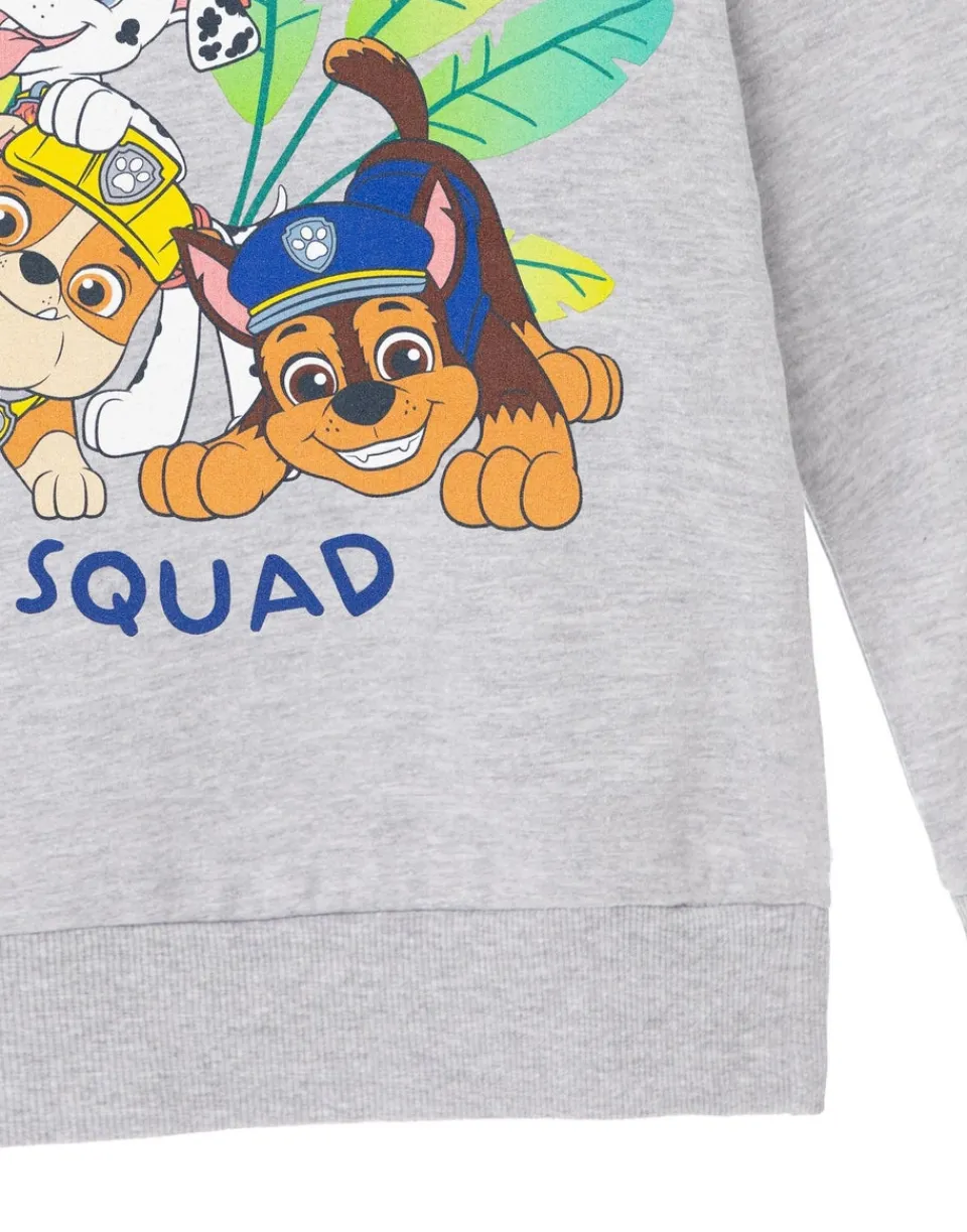 Loungewear>Paw Patrol Advernture Squad Kids Grey Marl Hoodie (3-8 years)
