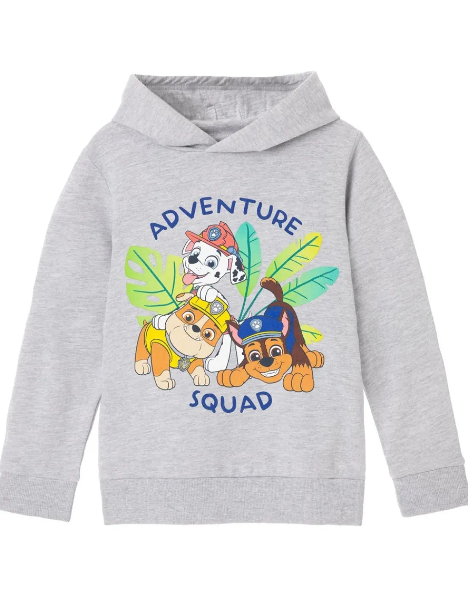 Loungewear>Paw Patrol Advernture Squad Kids Grey Marl Hoodie (3-8 years)