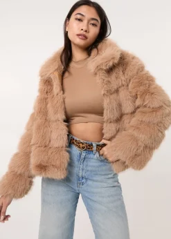 Coats & Jackets>Pink Vanilla Camel Cropped Fur Pelted Jacket