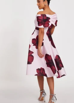 Dresses>Quiz Pink Petite Bardot Floral Skater Dress