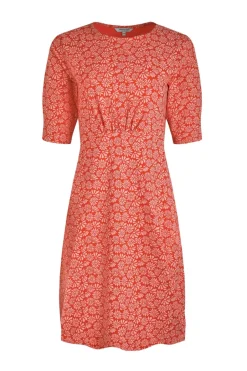 Dresses><noscript><img width=