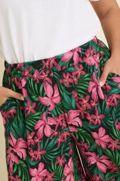 Shorts><noscript><img width=